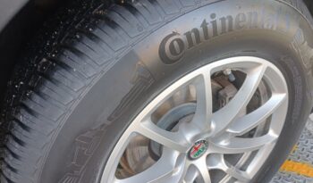 Alfa Romeo Stelvio 2.2 Turbodiesel 180 CV AT8 RWD Business full